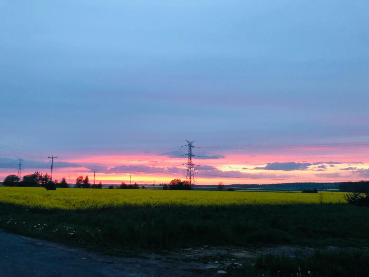 Nibylandia Dom Pod Lasem Nowa Wies Grodziska Exterior photo